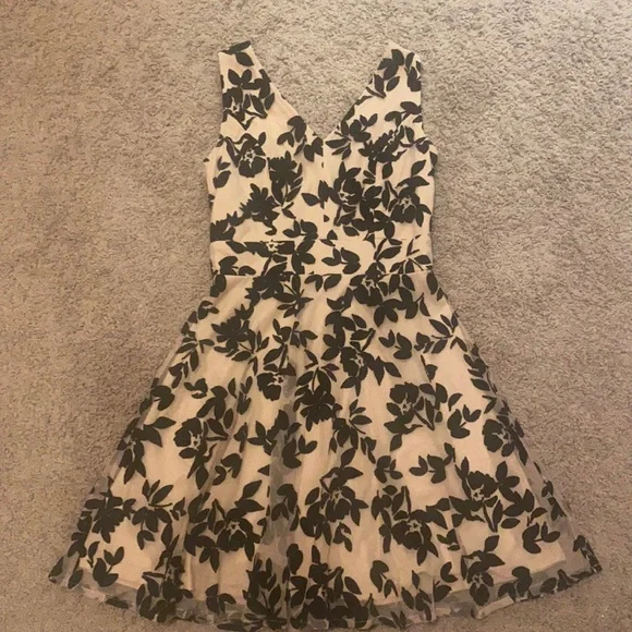 black and cream dresses Annetta Dress Cream and Black – Rhoan main image 1
